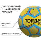 Мяч футзальный TORRES Futsal BM 200, TPU, машинная сшивка, 32 панели, размер 4 - фото 4325009