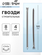 Гвозди ТУНДРА, строительные, ГОСТ 4028-63, без покрытия, 4×120 мм, фасовка 1 кг - Фото 1