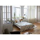 Постельное бельё 1.5-спальное «Этель. Эвкалипт (вид 1)», поплин - Фото 7