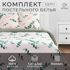 Постельное бельё евро «Этель. Эвкалипт (вид 1)», поплин - Фото 1
