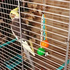 Игрушка для птиц «Погремушка», пластик, цвет МИКС - Фото 6