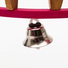 Игрушка для птиц «Лесенка», цвет МИКС - Фото 4