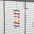 Игрушка для птиц «Лесенка», цвет МИКС - Фото 5