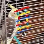 Игрушка для птиц «Лесенка», цвет МИКС - Фото 1