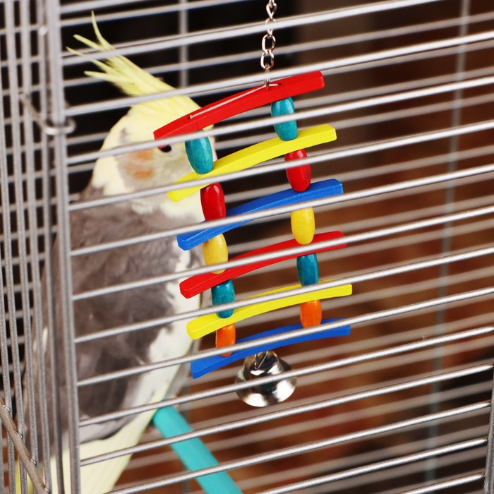Игрушка для птиц «Лесенка», цвет МИКС - Фото 1