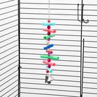 Игрушка для птиц «Ступеньки», цвет МИКС - Фото 5