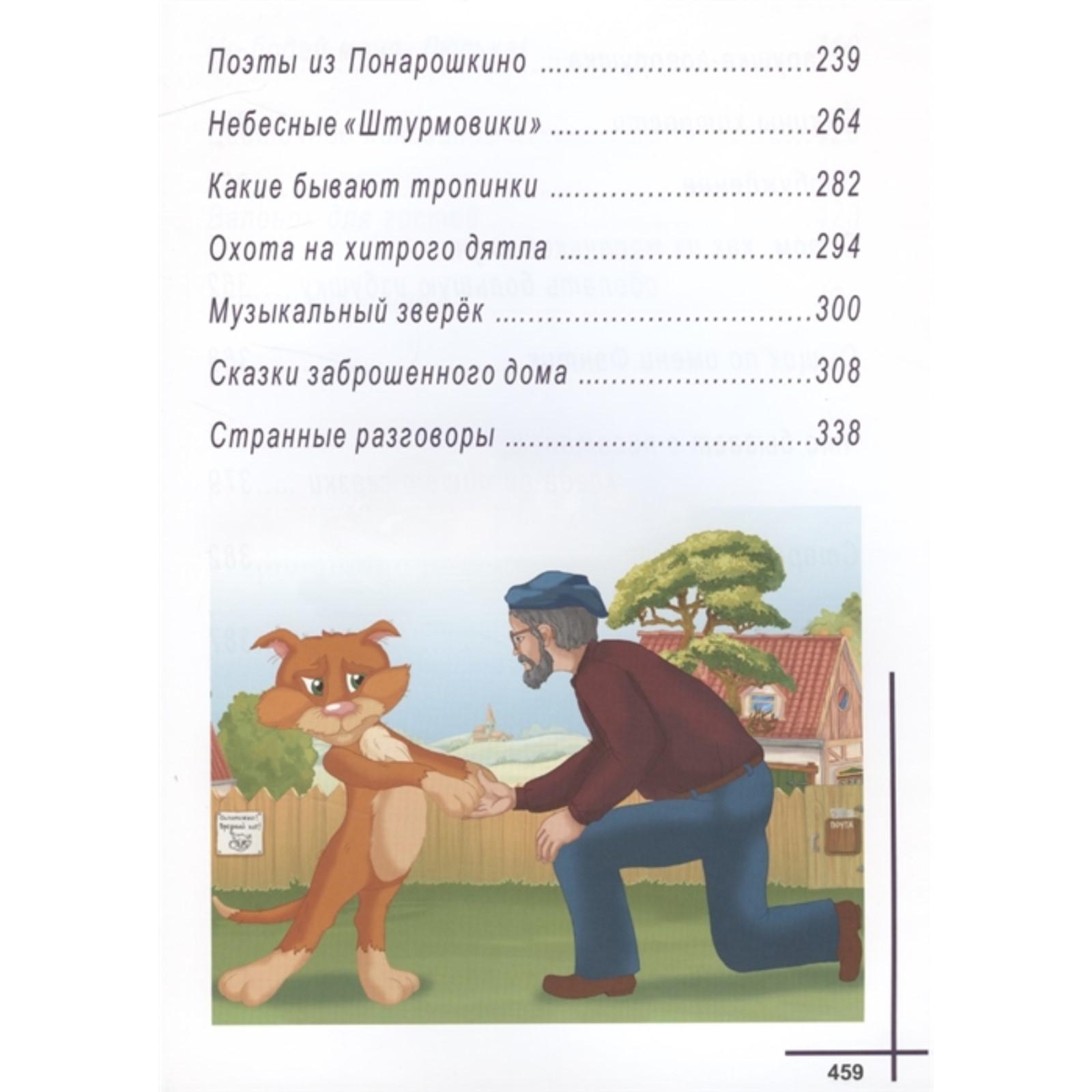 «Понарошкино. Сказочный городок», Шевченко А.А.