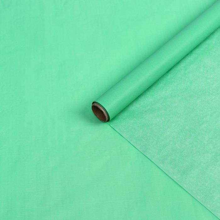 Бумага упаковочная тишью, хаки, 0,6 х 10 м - Фото 1