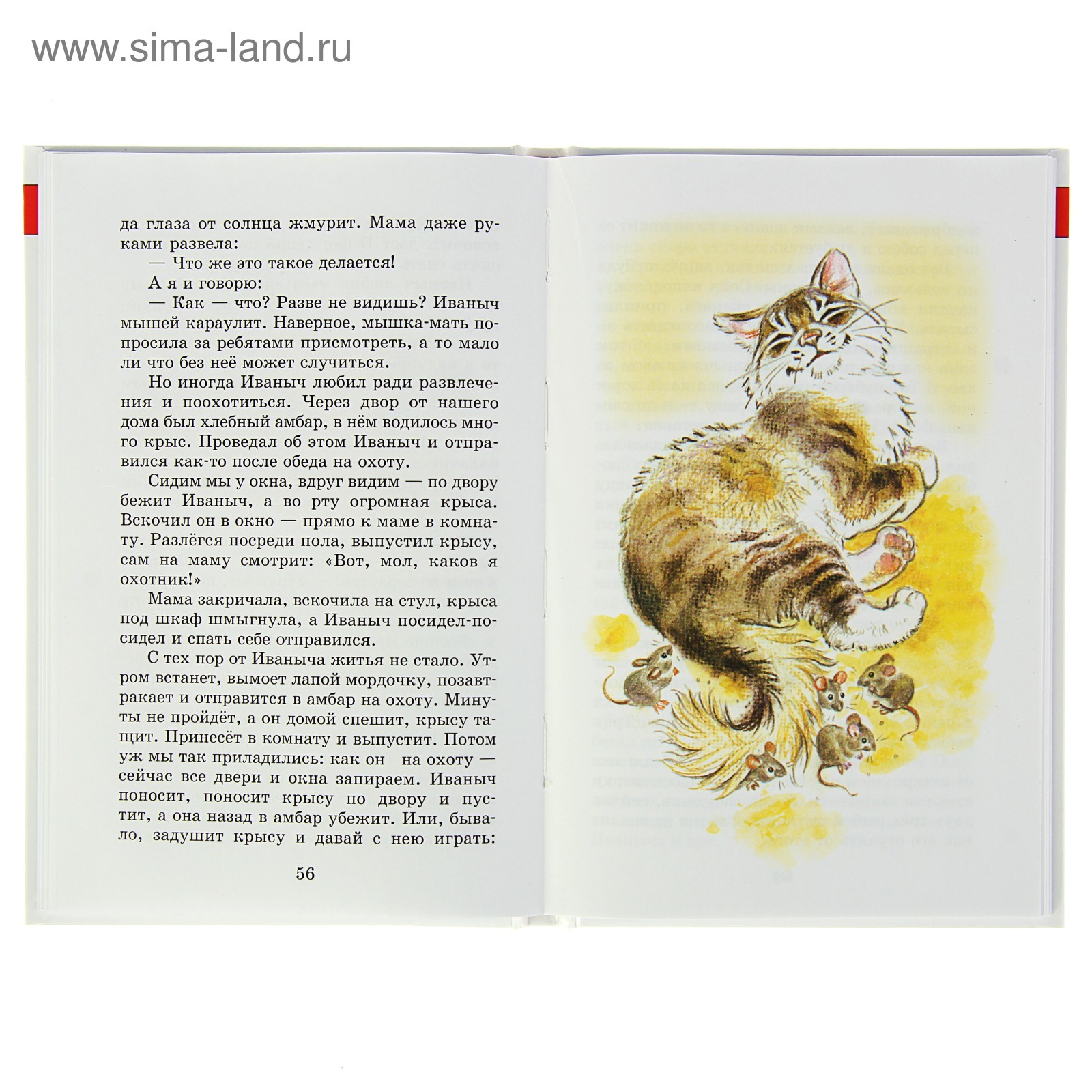 Скребицкий кот иваныч