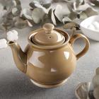 Чайник «Акварель», 400 мл, цвет золотисто-коричневый - Фото 1
