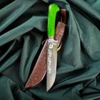 Нож Пчак Шархон - рукоять дерево, металл, зеленый - Фото 5