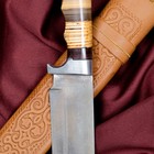 Нож Пчак Шархон - рукоять кость, металл - Фото 2