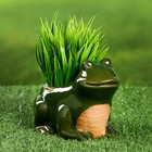 Декоративный горшок «Лягушка», керамический, 250 мл, 12×10×9 см, зелёный - Фото 1