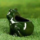 Декоративный горшок «Лягушка», керамический, 250 мл, 12×10×9 см, зелёный - Фото 3