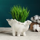 Горшок для цветов «Динозавр стегозавр» керамический, 200 мл, 19×8×10 см, на ножках, белый, Greengo - Фото 1