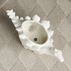 Горшок для цветов «Динозавр стегозавр» керамический, 200 мл, 19×8×10 см, на ножках, белый, Greengo - Фото 4