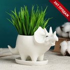 Декоративный горшок для цветов «Трицератопс», 150 мл, 15.7×6.2×9.1 см, керамический, с поддоном, белый, Greengo - Фото 1