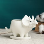 Декоративный горшок для цветов «Трицератопс», 150 мл, 15.7×6.2×9.1 см, керамический, с поддоном, белый, Greengo - Фото 2