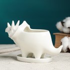 Декоративный горшок для цветов «Трицератопс», 150 мл, 15.7×6.2×9.1 см, керамический, с поддоном, белый, Greengo - Фото 3