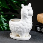 Декоративный горшок для цветов «Лама Лёля», керамический, 200 мл, 15×8×12 см, с поддоном, белый, Greengo  (артикул 6116732)  большой выбор товаров оптом и в розницу по низким ценам с доставкой