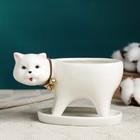 Декоративный горшок для цветов «Кошка», 250 мл, 15.5×7.5×9.5 см, с поддоном, керамика, белый, Greengo - Фото 2