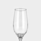 Бокалы для шампанского Paşabahçe Amber, 200 мл, набор 6 шт., стекло, прозрачные - Фото 3