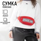 Сумка поясная, текстильная, светоотр. нашивки, отд на молнии, красная, Time to chill, 35 х 12 х 5 см 5553871 - фото 16992424