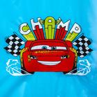 Дождевик детский "Champ" Тачки , р-р S  (артикул 5553911)  большой выбор товаров оптом и в розницу по низким ценам с доставкой