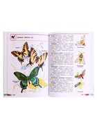 Учебное пособие «Атлас - определитель. От земли до неба», новое оформление, Плешаков А.А. - Фото 4