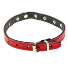 Ошейник 1-слойный из кожи, украшенный жемчугом, 1,4 х 39 см - Фото 2