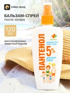 Бальзам-спрей после загара БИОКОН Пантенол для всей семьи, 120 мл - Фото 1