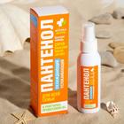 Спрей-бальзам Пантенол после загара охлаждающий, успокаивающий, для всей семьи, 100 мл - Фото 1