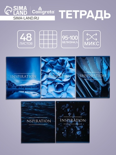 Тетрадь 48 листов в клетку, Calligrata «Вдохновение», МИКС