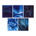 Тетрадь 48 листов в клетку, Calligrata «Вдохновение», МИКС - Фото 5