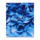 Тетрадь 48 листов в клетку, Calligrata «Вдохновение», МИКС - Фото 7