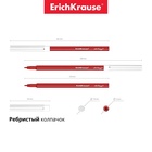 Фломастеры 12 цветов ErichKrause Washable, смываемые, европодвес 6979975 - фото 13796675