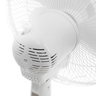 Вентилятор Centek CT-5007, настольный, 30 Вт, 34 см, 3 скорости, синий - фото 51444643 Вентилятор Centek CT-5007, настольный, 30 Вт, 34 см, 3 скорости, синий - фото 51444643