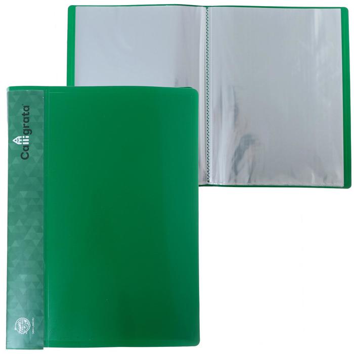 Папка с 40 вкладышами А4, 500 мкм, Calligrata, карман на корешке, зелёная - Фото 1