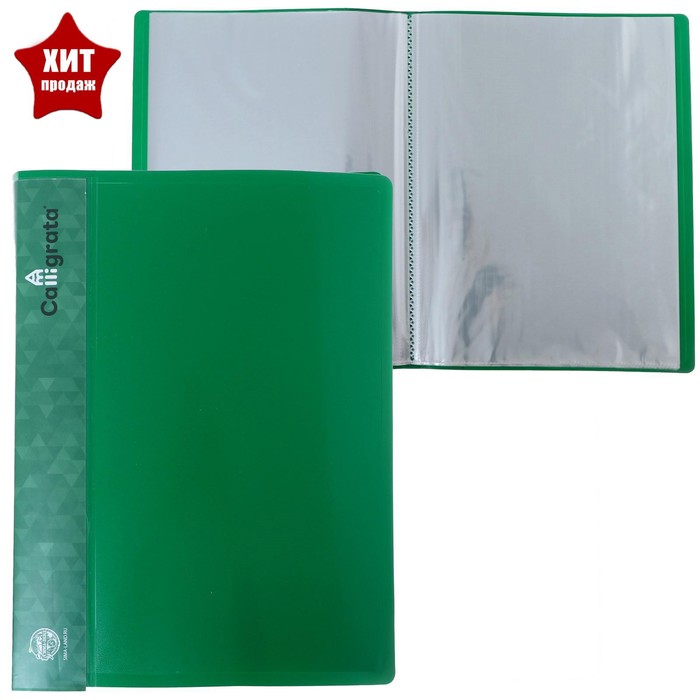 Папка с 60 вкладышами А4, 500 мкм, Calligrata, карман на корешке, зелёная - Фото 1