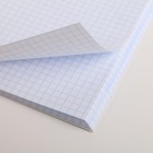 Тетрадь в клетку А4, 80 л., на скрепке, блок №1«Сине-золотая ботаника» - Фото 2