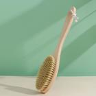 Щётка для сухого массажа, класс XL Light, 154 пучка 7004355