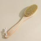 Щётка для сухого массажа, класс XL Light, 154 пучка 7004355