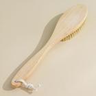 Щётка для сухого массажа, класс XL Light, 154 пучка 7004355