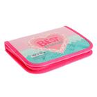 Пенал 1 секция 130×190×30 мм, с откидной планкой, ПКК 07- 5, «Щенята», ламинированный картон 59638 - Фото 3