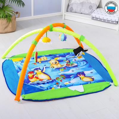 Развивающий коврик с дугами «Арктика», 100х87 см, 4 игрушки, Дельфин