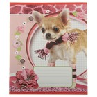 Тетрадь 12 листов клетка "Пошли гулять" картонная обложка, выборочный УФ-лак - Фото 1