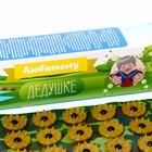 Аппликатор Кузнецова «Любимому дедушке», 70 колючек, плёнка, 23×32 см - Фото 8