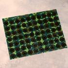 Аппликатор Кузнецова «Космическое здоровье», 70 колючек, плёнка, 23×32 см - Фото 4