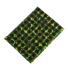 Аппликатор Кузнецова «Любимому папе», 70 колючек, плёнка, 23×32 см - Фото 9