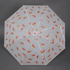 Зонт - трость полуавтоматический «Фрукт», 8 спиц, R = 47 см, цвет МИКС - Фото 7